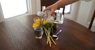 Hacks to make flowers last longer. Make Flowers Live Longer