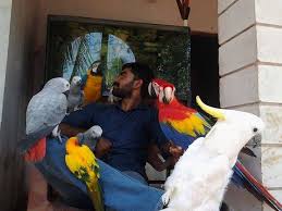 Exotic Bird Eggs For Sale In India Fertile Parrot Eggs Suppliers Posts Facebook