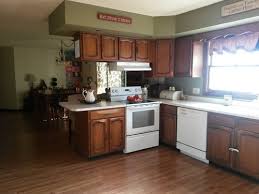 They are super easy, cute and whimsical and they'll take you just a few minutes. Help Outdated Kitchen Cupboards Wall Paint Color Problem