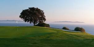 W.G.C. Open Championship ‘26 (Major #3)