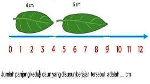 Kunci Jawaban Soal Ulangan Semester Kelas 3 Tema 2 Subtema 3 Ppkn Sbdp Matematika Bahasa Indonesia Tribun Pontianak