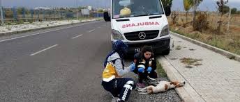 Konya Da 112 Calisanlari Pasa Icin Gozyasi Doktu