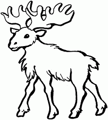 Maybe you would like to learn more about one of these? Printable Moose Coloring Pages Coloring Me Coloring Home
