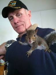 Squirrelnutrition Com Baby Squirrel Care Baby Squirrel Squirrel