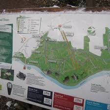 Escape the city centre with a walk at leigh woods. Leigh Woods The Best British Dog Walks