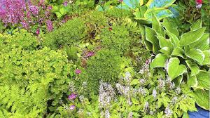 Plants in the uk plants are the crown jewels of our gardens and they can enhance it in a way that only flowers can. Planting For Year Round Interest Tong Garden Centre