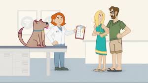 We are open late and on weekends, and conveniently located. Banfield Pet Hospital Optimum Wellness Plans For Dogs And Cats Youtube