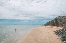 Timing your visit to hervey bay around the annual festivals and community celebrations is also a great idea. 20 Fabulous Things To Do In Hervey Bay