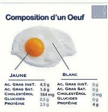 Composition D Un œuf Food Nutrition Fruit