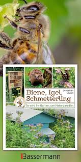 Bienen Insekten Kleintiere Das Alles Ist Wichtig Fur Das Gleichgewicht In Der Natur Und Jeder Kann Im Eigenen Garten Dafur Sor Garten Gartenparadies Natur