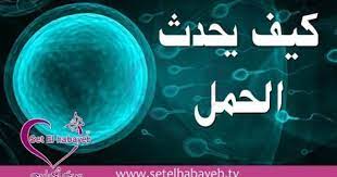كيف يحدث الحمل tv poster movie posters