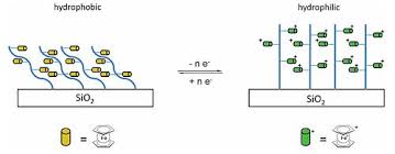 Ferrocene - An Overview | Sciencedirect Topics