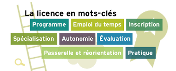 Lettre de motivation rãorientation licence psychologie lettre h. L Essentiel Sur La Licence De Psycho Onisep