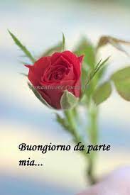Pin Di Rosita Su Pensieri D Amore Buongiorno Amore Buongiorno Immagini Citazioni Buongiorno