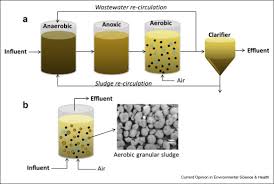 Jul 08, 2015 · granular computing is about formation, processing and communicating information granules. Aerobic Granular Sludge Process A Fast Growing Biological Treatment For Sustainable Wastewater Treatment Sciencedirect