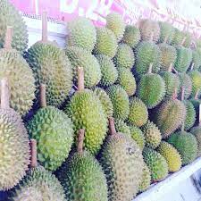 Kalau belum ada belahannya, durian dilempar. Bayar Rm20 Makan Durian Sampai Viral Muafakat Johor Facebook