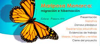Mariposa Monarca