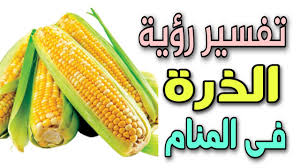 تشير نشا الذرة إلي المكون الخفي الذي يوجد داخل حبة الذرة ,وتستخدم في الكثير من المجالات فلا يقتصر إستخدامها في مجال الأطعمةأن نتعرف علي استخدامات نشا. ØªÙØ³ÙŠØ± Ø±Ø¤ÙŠØ© Ø§Ù„Ø°Ø±Ø© ÙÙ‰ Ø§Ù„Ù…Ù†Ø§Ù… Ù„Ø§Ø¨Ù† Ø³ÙŠØ±ÙŠÙ† Youtube