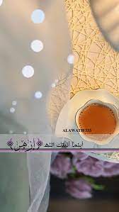 𝓐ꙍ𝓪𝓽𝓲𝓯 live lokai bracelet lokai bracelet jewelry