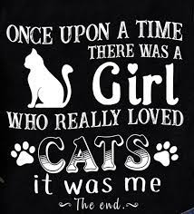 Pin By Lola Moonflower On Kitty Madness Cat Quotes Cat Mom Cats