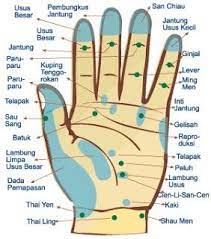 Atasi Beberapa Penyakit Dengan Tekan Titik Refleksi Setiap Organ Tubuh Memiliki Titik Titik Saraf Ya Acupressure Treatment Health Knowledge Health History Form