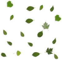 #autumn #fall season #november #flayravenz #illustration #cute #kawaii #gif animation #autumn leaves #orange. Top Falling Leaves Gif Stickers For Android Ios Gfycat