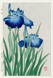 Poppy From Shodo Kawarazaki Spring Flower Japanese Woodblock Prints Japanese Woodblock Printing Japanese Art Japanese Painting