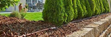 Check spelling or type a new query. Micro Drip System Produktberater Gardena