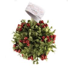 When you find something you want to buy on a website, you put it in your shopping. Ganz Small Mistletoe Ball Hanging Ornament 5 Inches Walmart Com Walmart Com
