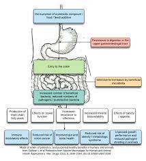 Maybe you would like to learn more about one of these? Side Effects From Pacific Sea Moss And Some Symptoms Biosea Health