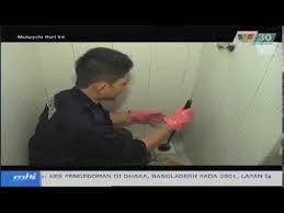 Oleh itu, tandas sepatutnya dijaga dengan bersih kerana di situlah bakteria mudah. Pembaikan Singki Dan Tandas Tersumbat Youtube