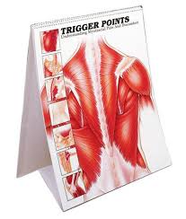 Trigger Point Flip Charts Anatomical Charts Sku Fltrg