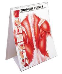 trigger point flip charts anatomical charts sku fltrg