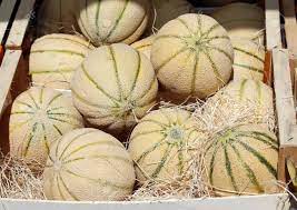 Big Melons In The Fruit And Vegetable Market In Summer Stock Photo, Picture  and Royalty Free Image. Image 45762349.