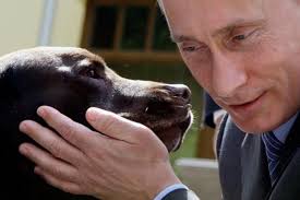 Koichi hagiuda did not give a reason as to why the gift had. Vladimir Putin S Hard Core Daily Routine Includes Hours Of Swimming Late Nights And No Alcohol The Independent The Independent