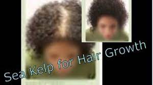 Kelp comes from the brown algae family. Sea Kelp Tablets For Fast Natural Hair Growth In 30 Days Youtube