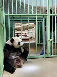 I have received a beauval box, how do i use it? Sd Iclzncjro1m