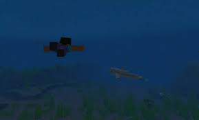 Dolphin – Minecraft Wiki