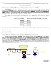 Mutations activity answer key pdf download. Mutations Activity Worksheets Teachers Pay Teachers