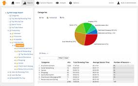 Server Incident Report Format Monitoring Template Excel Throughout Sql Server Health Check Report Template B In 2020 Business Template Internet Usage Report Template