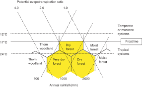 Climate Characteristics That Define Tropical And Subtropical