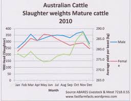 Australian Beef Slaughter Cattle Producer Nt