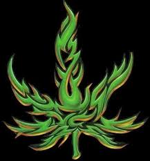 Maybe you would like to learn more about one of these? Free Download Trippy Pot Leaf Colouring Pages Page 2 476x511 For Your Desktop Mobile Tablet Explore 42 Trippy Pot Leaf Wallpaper Trippy Stoner Wallpaper Trippy Rasta Wallpaper Trippy Drug Wallpapers