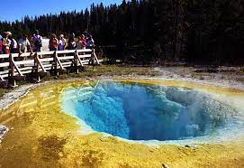 Flower delivery in cheyenne, wy and the surrounding area. Morning Glory Pool Wikipedia