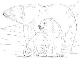 Disegni Da Colorare Orso Polare Orso Polare Arte Degli Orsi Disegni Da Colorare