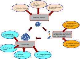 These may form in various parts of the body. Initiation Of A Neoplasm Or Tumor Book Chapter Iopscience