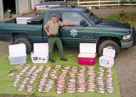 The california department of fish and wildlife (cdfw), formerly known as the california department of fish and game (cdfg), is a state agency under the california natural resources agency. Seized Fish And Game What Happens To It California Outdoors Q A