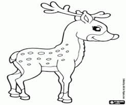 Ausmalbilder Hirsch Zum Ausdrucken