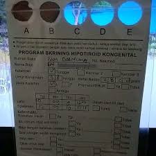Periode ini menentukan apa yang akan terjadi sepanjang sisa hidup. Perlunya Melakukan Skrining Hipotiroid Kongenital Shk Pada Bayi Baru Lahir Kabupaten Pringsewu