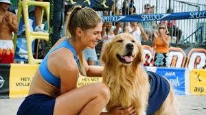 Marley & me 2008 a married couple who, at the procedure for starting a family, learn lots of life's if you get any error message when trying to stream, please refresh the page or switch to another the movie investigates the highs and lows of marriage, adulthood and facing one's own mortality, as seen. 7 Iconic And Adorable Dog Movies Streaming On Netflix Amazon Prime Video And Disney Hotstar Vogue India